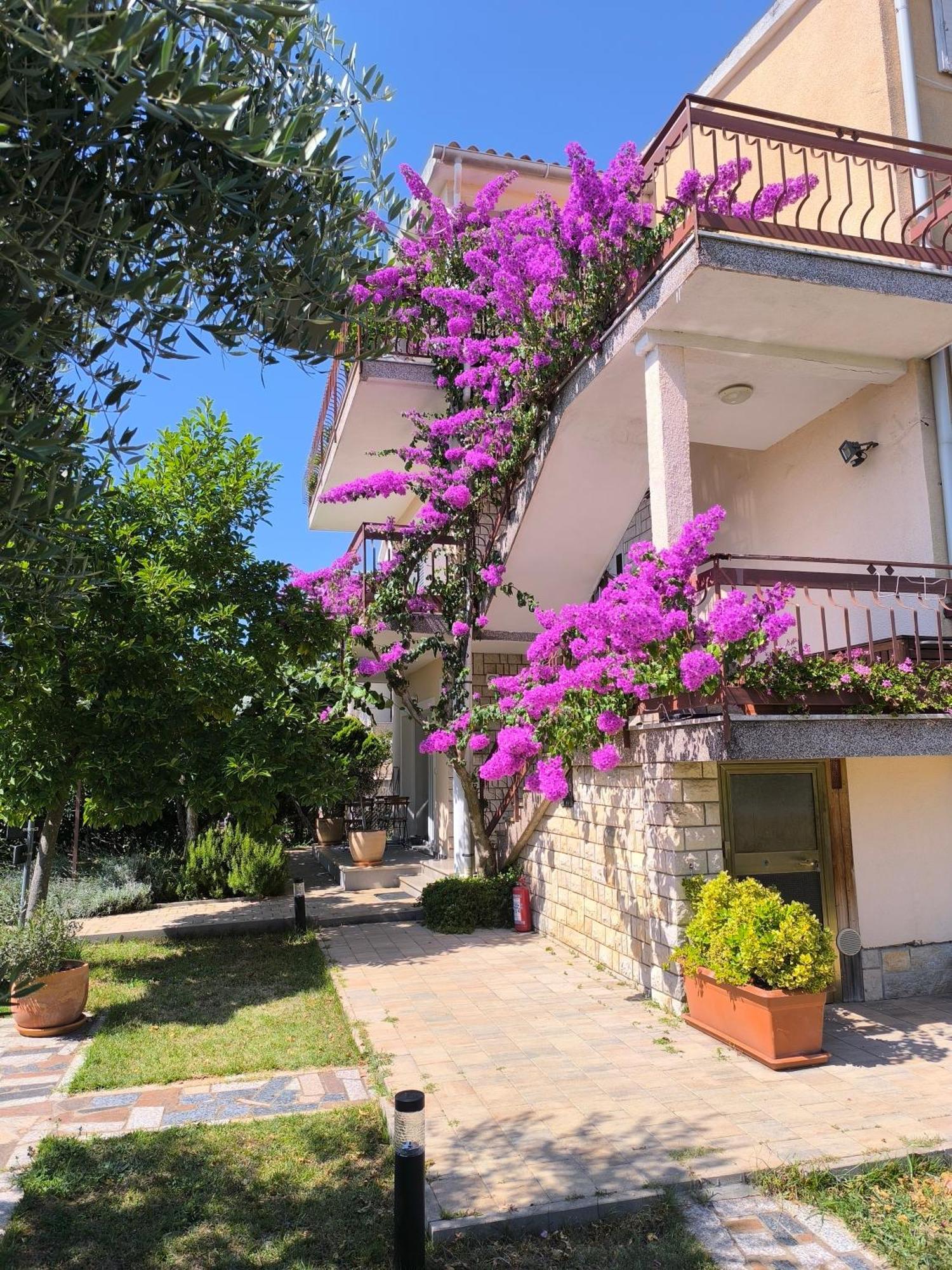 Apartments Lirio Умаг Экстерьер фото