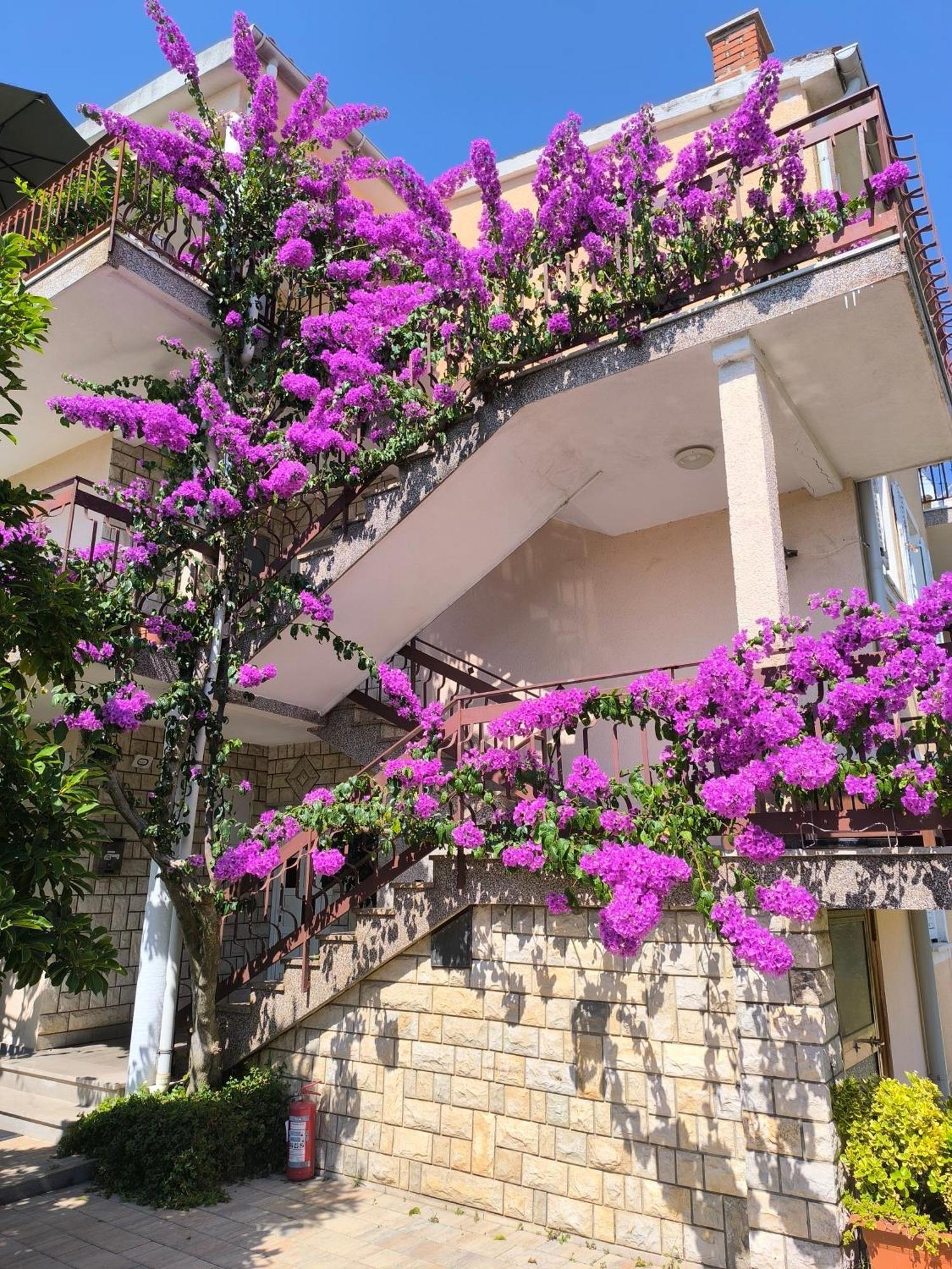 Apartments Lirio Умаг Экстерьер фото