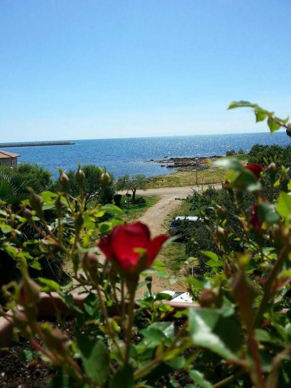 Apartments Lirio Умаг Экстерьер фото
